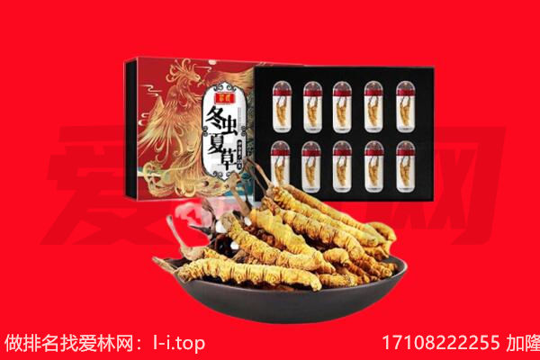 红河县回收虫草.jpg